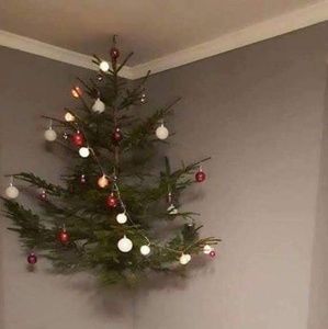 Meet your Posher, Tomee